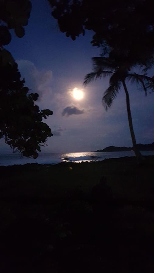 Hostal Hilltop Capurganá エクステリア 写真